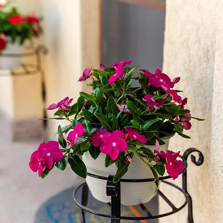 Class Casa de hóspedes