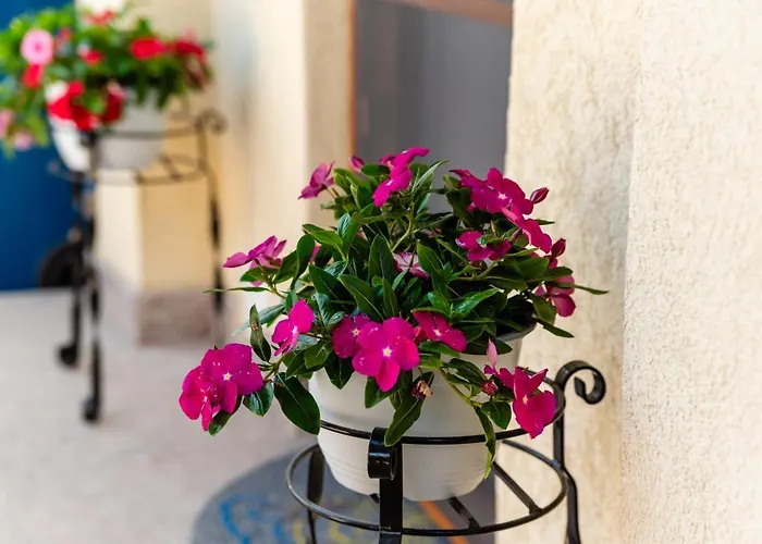 Class Гостевой дом